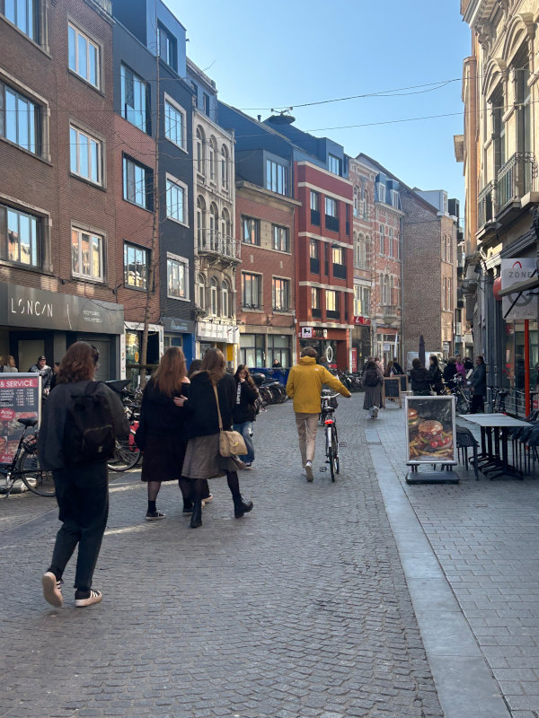 A busy pedestrianised street in Leuven Busy pedestrianised street in Leuven